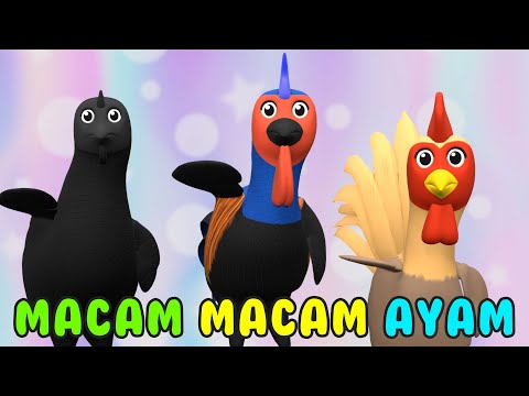 Macam Macam Ayam - Lagu Anak Indonesia Terbaru