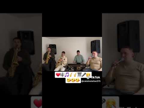 formația Cătălin Ștefan live