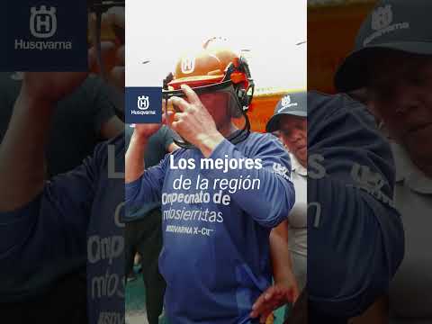 Llegamos a Puerto Santander🚌en busca de lo mejores motosierristas 🔥
