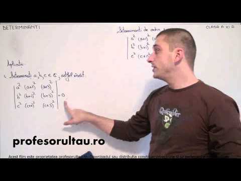 07   cls11   Determinanti   determinanti de ordin 3   aplicatii   partea 4 - profesorultau.ro