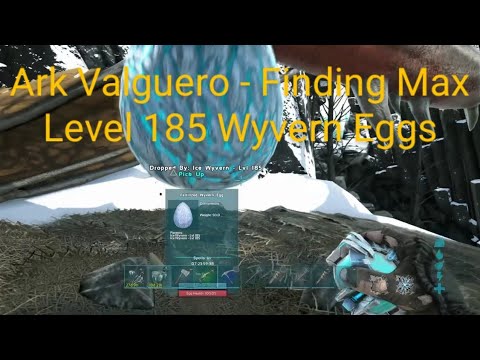 Ark Valguero - Finding Max Level 185 Wyvern Eggs