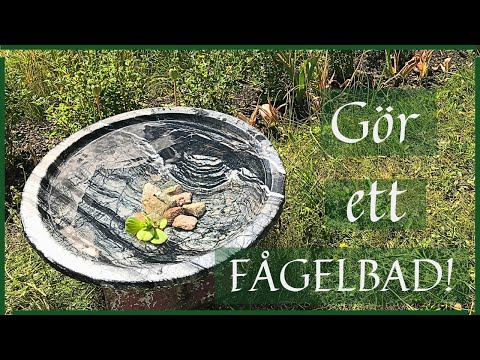 Vatten i trädgården / Fågelbad