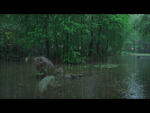 The beautiful little river is raining(332) , sleep, relax, meditate, ASMR, Real Shot