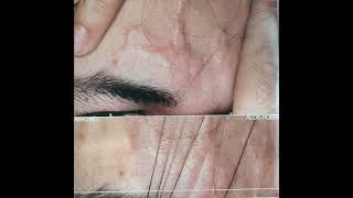 Alois Huber - USE (1997)