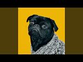 Dog Oh My God A Dog
