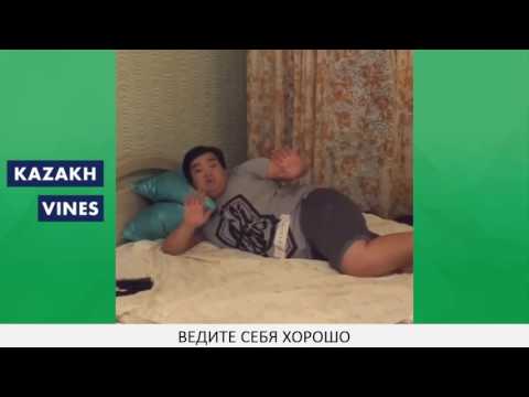 ZHEKA FATBELLY ЛУЧШИЕ ВАЙНЫ