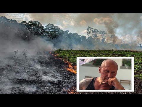 Ég az erdő ég... vagy annyira nem?