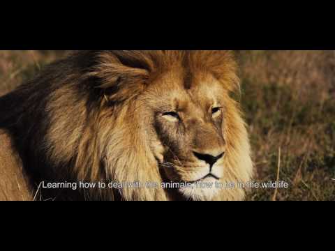 South Africa - Big 5 in Port Elizabeth and prevet internship 