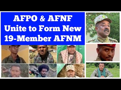 Amhara Fano: AFNF & AFPO Unite to Establish 19-Member Amhara Fano National Movement