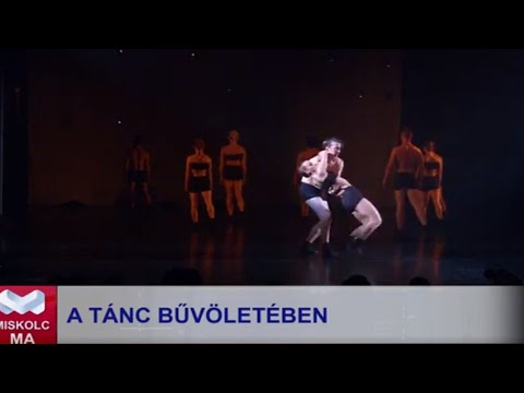 Videó előnézet