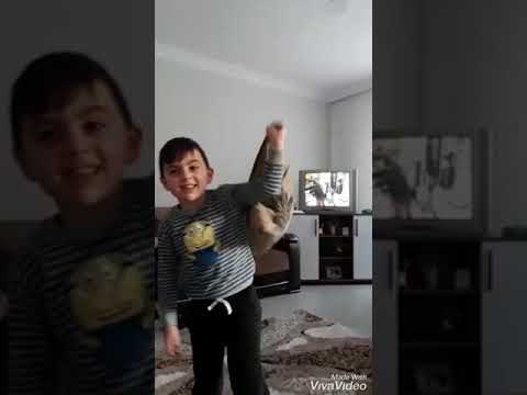 Remzi ege özkanca vs haydar özkanca