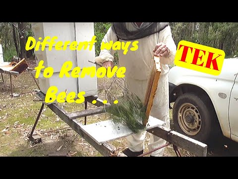 2. 23 Different Ways to Remove Bees from Supers -  Frames  #Beekeeping #TEK Method