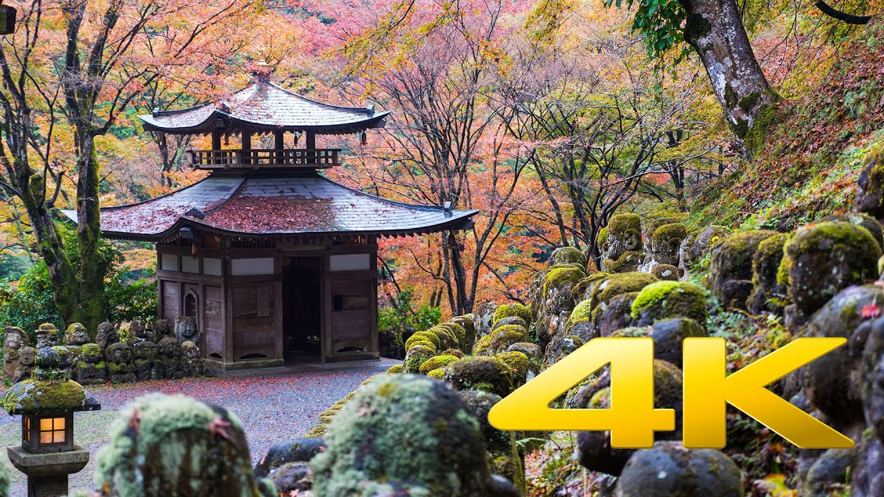 Discover the captivating highlights of the Otagi Nenbutsu-ji Temple!