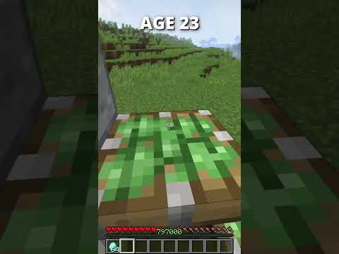 How to Escape Minecraft Traps in Every Age (World's Smallest Violin) #shorts