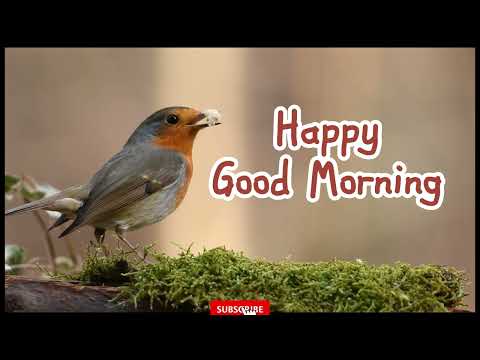 Good Morning quotes by shameem