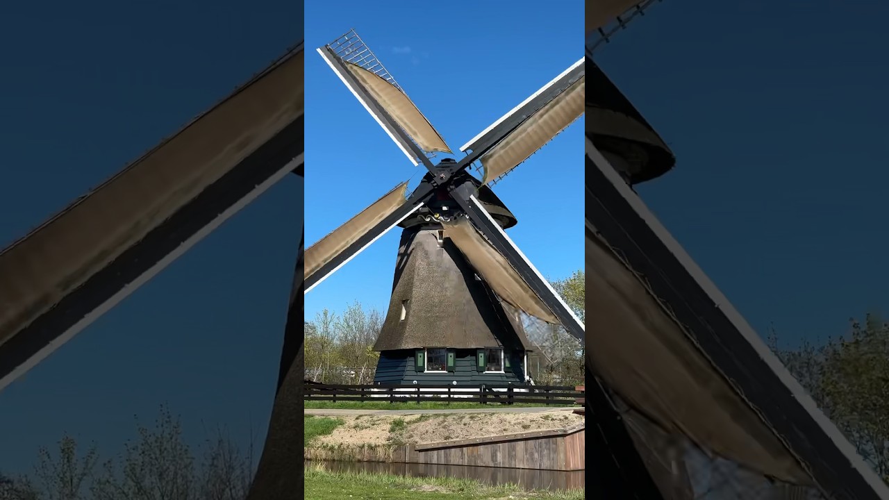 YouTube Short thumbnail