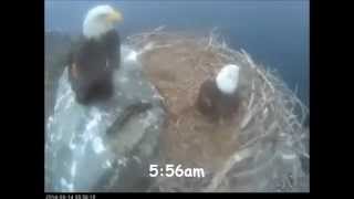 WE - My Name is Thunder! Don&#39;t Mess with Me!