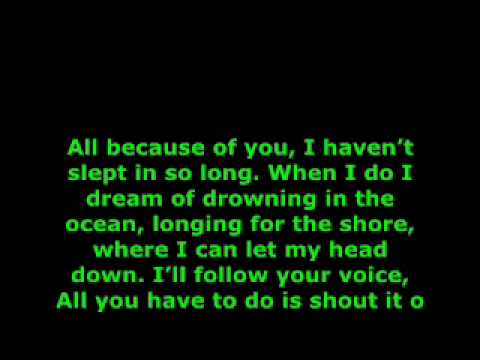 Rise Against - The Good Left Undone with Lyrics