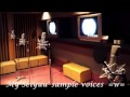 My Japanese Voice sample Seiyuu 