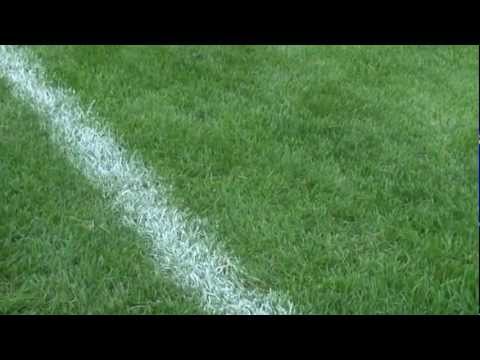 Verbania in erba ibrida POWERgrass - La prima partita