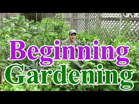 Beginning Gardening Series #1: Best Location for a Vegetable Garden Video