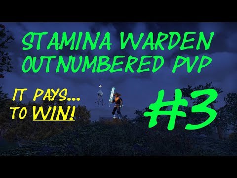 Stamina Warden 1vX & Outnumbered PVP #3 - ESO Dragon Bones