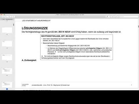 LEO-Repetitorium StaatsR III/Europarecht – Fall 4: Smart Sanctions (1/2)