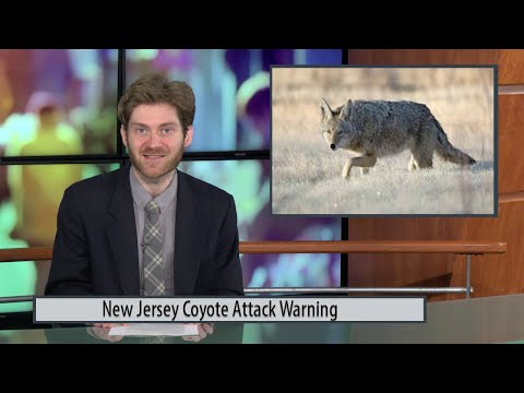 NJ Coyote Attack Warning