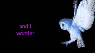 Deftones - 976-Evil - Lyrics