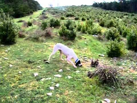 {$row[$i]['name'], ENT_QUOTES,'utf-8'); ?>