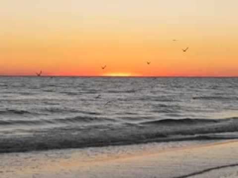 Fly Away - Monica Ramey with the Beegie Adair Trio