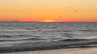 Fly Away - Monica Ramey with the Beegie Adair Trio