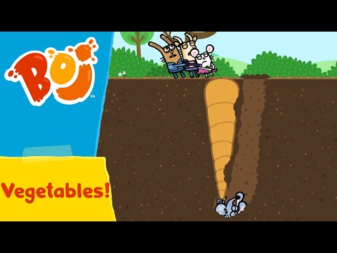 Boj - Growing Your Own Vegetables! 🥕 | Full Episodes | Cartoons for Kids