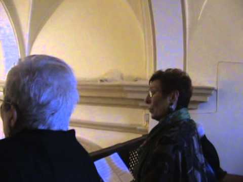 vilalba de perejil 2014