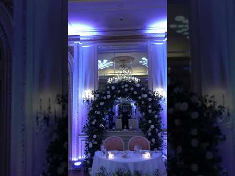 DJ Steven Feinberg video.