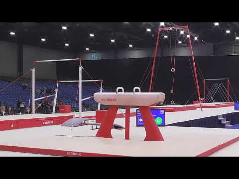 Mens Artistic Disability Masters   Pommel Horse   INNES Kieron