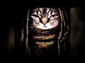 Montagem Lunar Diamante Slowed King Von Cat Anti Piracy Screen TikTok