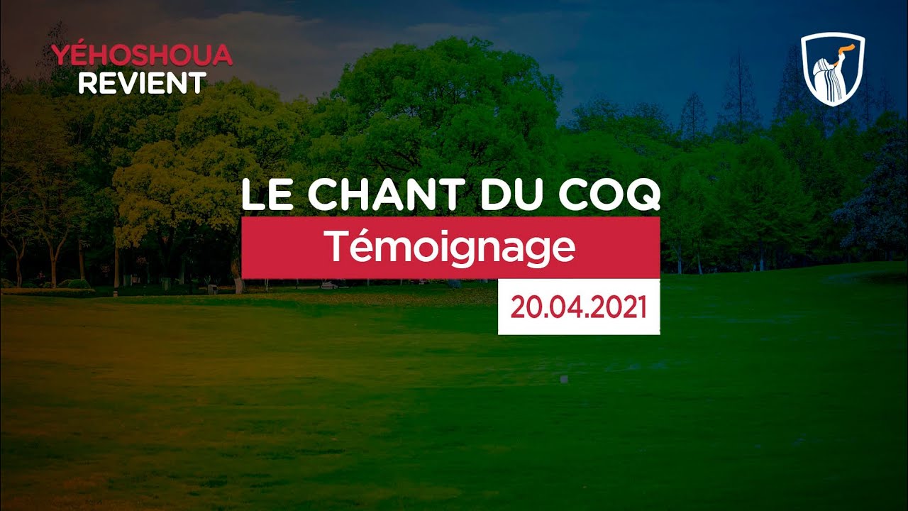 Thumbnail of video: Témoignage