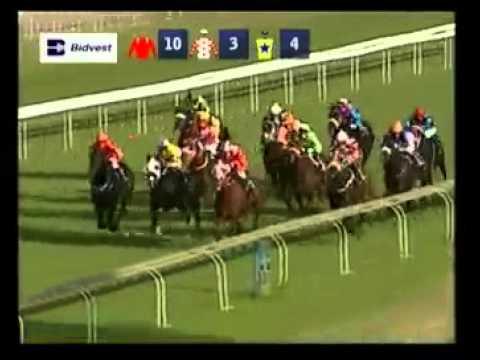 Polar Palace -  2nd win - Racing Association