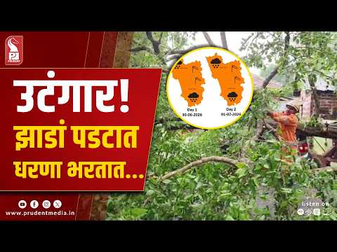 Goa Battles Monsoon Mayhem as Tree Traps Family, Boulder Strikes House