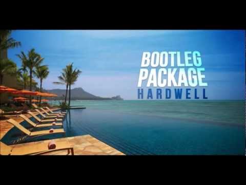 Example vs Quintino & Sandro Silva - Epic The Way You Kissed Me (Hardwell MashUP)