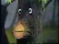 Sesame Street Here Is Your Life Oak Tree