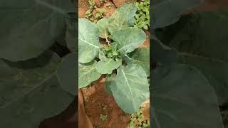 Download lagu https://youtu.be/41iPLdIex1Y?si=N65zqTxUAnQZ0fkQ mp3