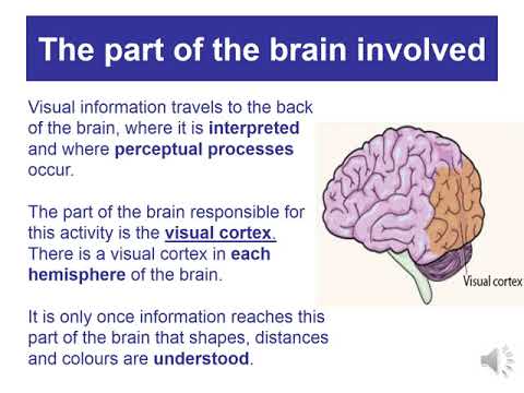 Psychology Induction 2021 (Taster Lesson)