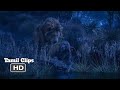 The Lion King 2019 Mufasa Spirit And Simba Scene Tamil 12 19 MovieClips Tamil