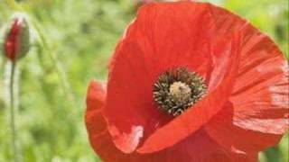 The Rapture - Sister Savior (DFA Dub)