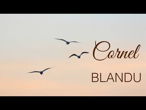 Cornel Blandu | In momente de grea incercare