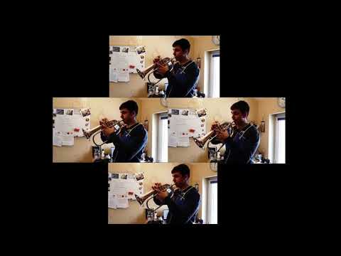 Ab und Zu ein paar Geigen | Cover | Trumpetdude_99