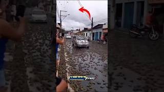 It’s Raining Frogs in Brazil! 🐸🌧️
