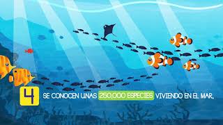 ¿Qué tanto sabes sobre los océanos?